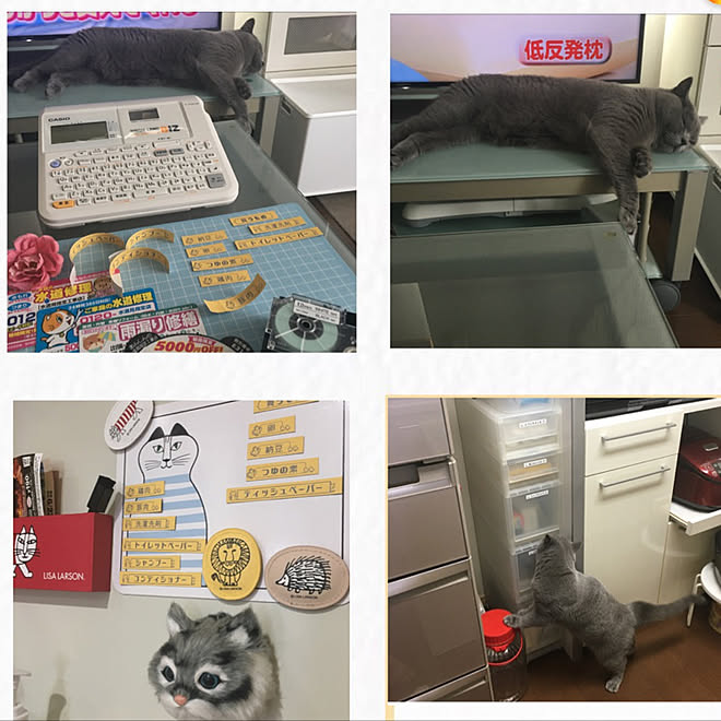 kittyさんの部屋