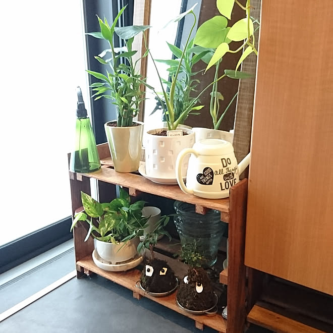 yukoさんの部屋