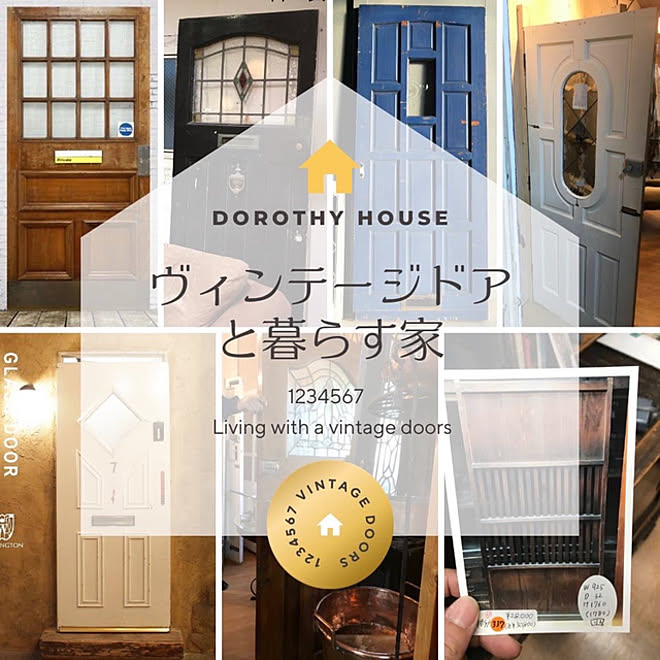 Dorothyさんの部屋