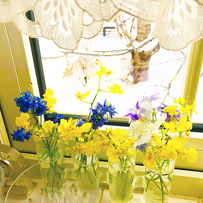 お正月のお花/花が好き♪/花のある暮らし/花の写真/キッチンのインテリア実例 - 2021-01-11 14:03:50