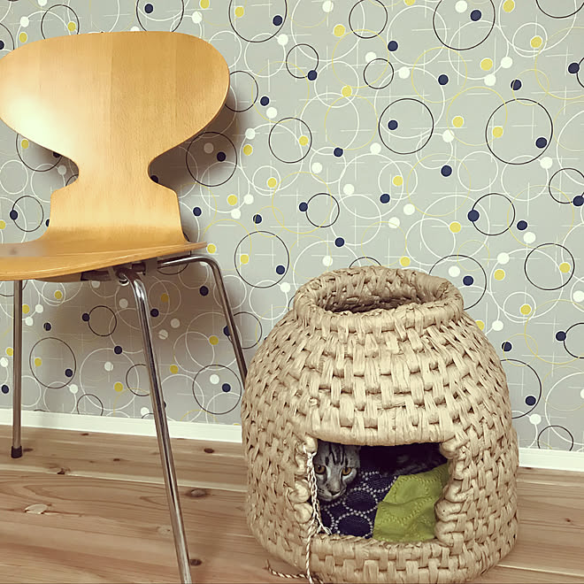 猫部屋 ミナペルホネン タンバリン 無垢の床材 杉 壁紙 ひんやりグッズ などのインテリア実例 19 08 22 14 33 42 Roomclip ルームクリップ 猫部屋 ミナペルホネン タンバリン 無垢の床材 杉 壁紙 ひんやりグッズ などのインテリア実例 19 08 22 14 33 42 Roomclip ルームクリップ