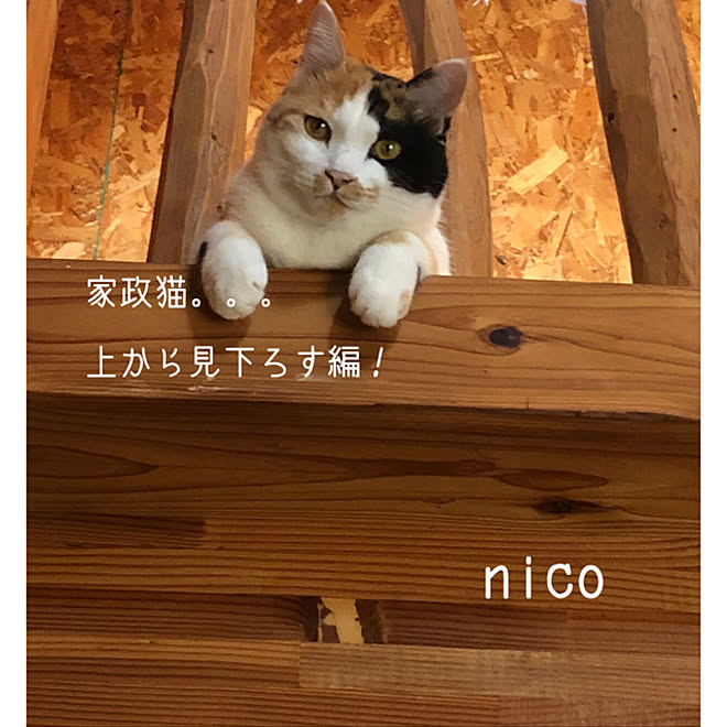 nicoさんの部屋