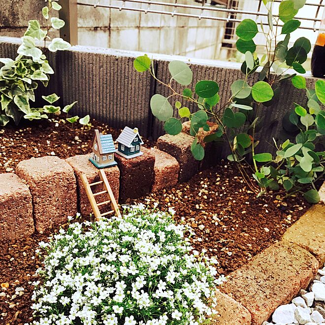 玄関 入り口 かすみ草 ジプシーホワイト 小さなお家は100均 ᴗ و ユーカリ 花壇 手作り などのインテリア実例 17 05 14 18 41 53 Roomclip ルームクリップ