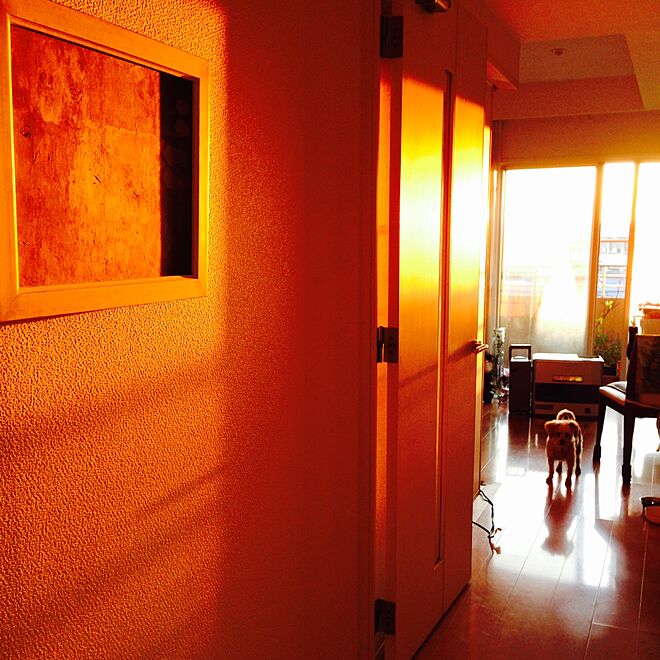 部屋全体/超オレンジな朝日☀️/ART/油画/アートのある暮らし...などのインテリア実例 - 2014-11-05 06:49:04