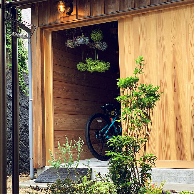 アジサイドライ/ドウダンツツジ/雨ふり/自転車置き場/小屋のある庭...などのインテリア実例 - 2020-07-14 15:22:20