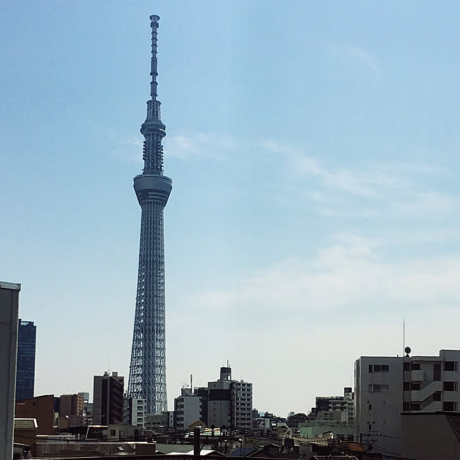 屋上 屋上テラス スカイツリーが見える スカイツリー 部屋じゃなくてゴメンなさい などのインテリア実例 05 10 14 12 56 Roomclip ルームクリップ