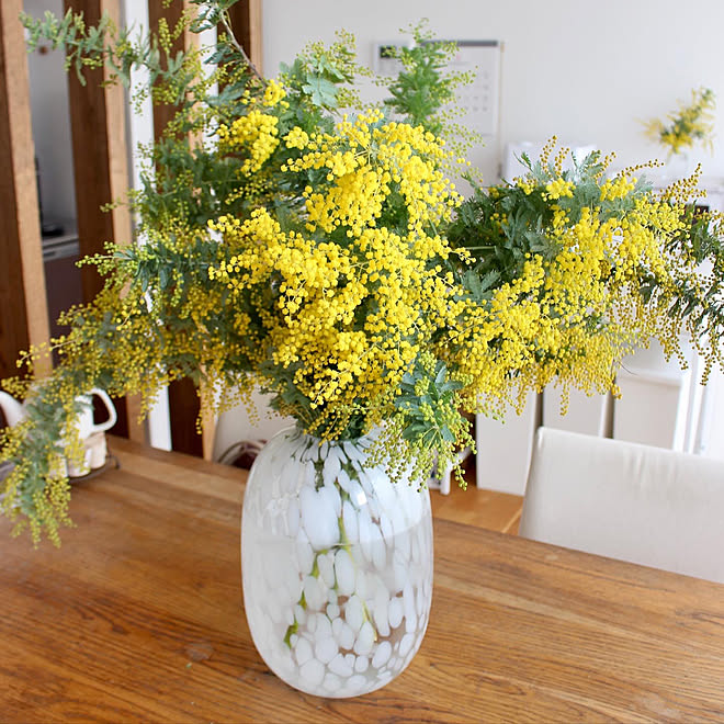 花瓶 買ってよかったもの ミモザ H M Home 花のある暮らし などのインテリア実例 22 02 13 49 44 Roomclip ルームクリップ