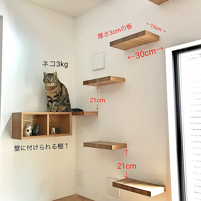 キャットタワー ホワイト 猫 タワー 猫の家具 キャットウォーク クライミング