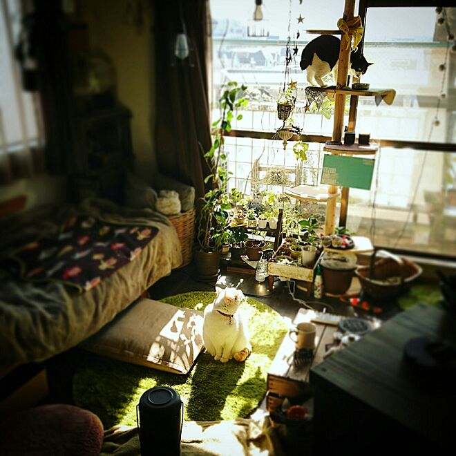 Kazukiさんの部屋