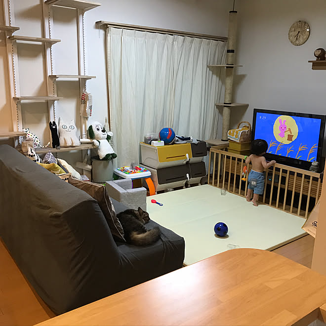 yuki0511さんの部屋