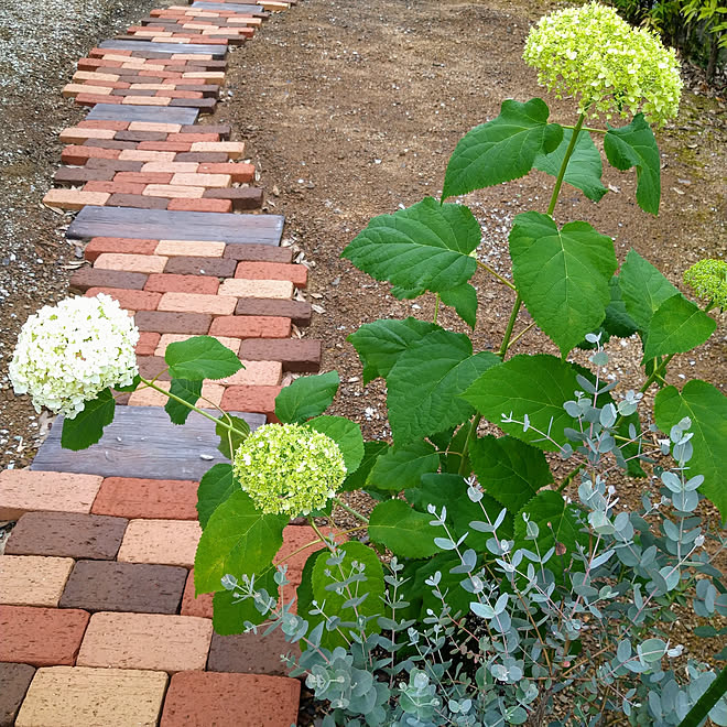 Rinさんの部屋