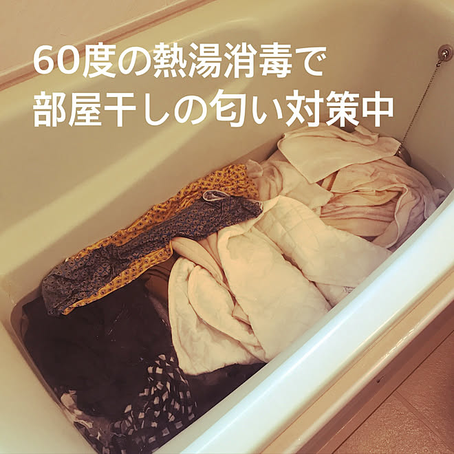 kobito_houseさんの部屋