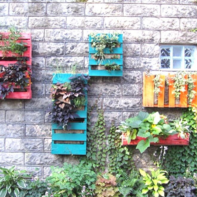 壁/天井/DIY/gardeningのインテリア実例 - 2013-07-14 03:13:33