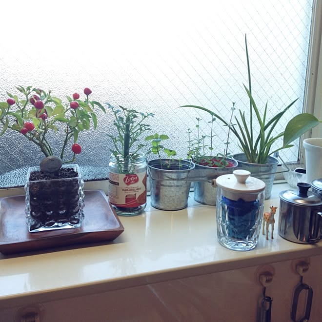 botanさんの部屋