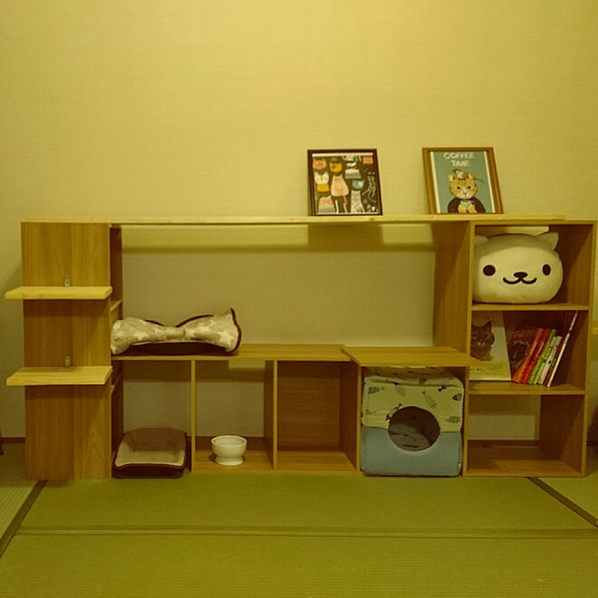 nakasetakeruさんの部屋