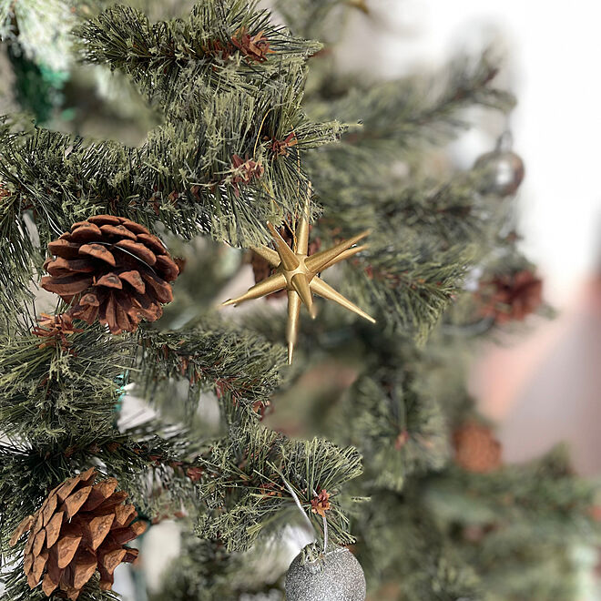 リビング/クリスマスツリーのインテリア実例 - 2023-12-13 08:03:54