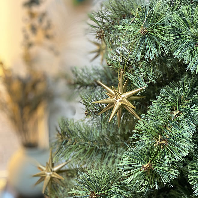 クリスマスツリー クリスマス雑貨 ベツレヘムの星 ベツレヘム ホテルライク などのインテリア実例 21 11 08 12 17 07 Roomclip ルームクリップ