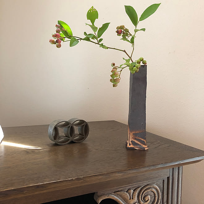 常滑焼 花瓶 花留め ブルーベリーの枝 ブルーベリー などのインテリア実例 22 07 12 12 44 Roomclip ルームクリップ