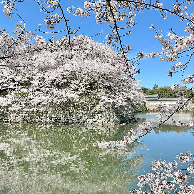 Re_さんの部屋