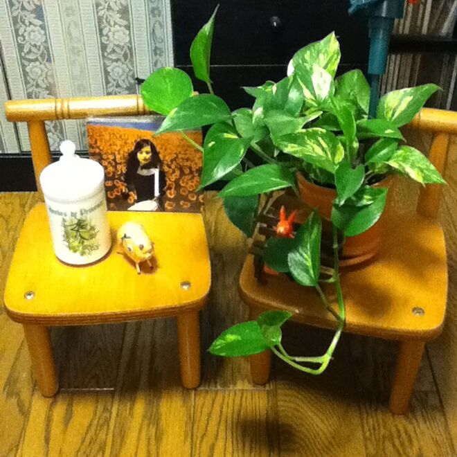 植物/アロマキャンドル/フィギュア/Chair/椅子のインテリア実例 - 2012-05-11 00:56:48
