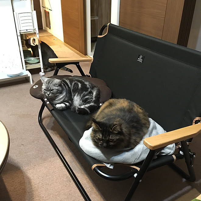 mikomaruさんの部屋