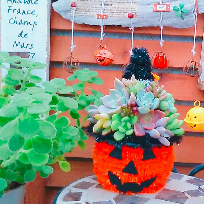 棚/ハロウィン/観葉植物のある暮らし/ガーデン雑貨/プチプラインテリア...などのインテリア実例 - 2018-10-10 12:54:14