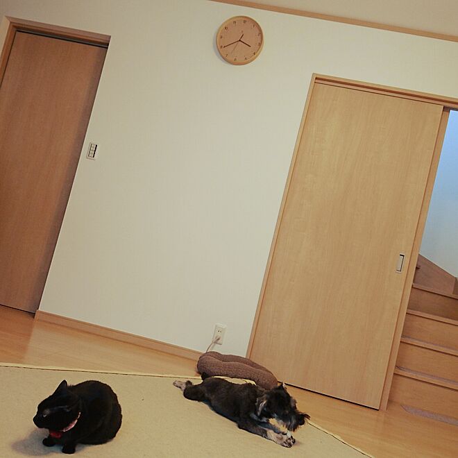 HoshiYukiさんの部屋