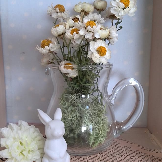 専門店 ドライフラワー花かんざし Nuseluj Com