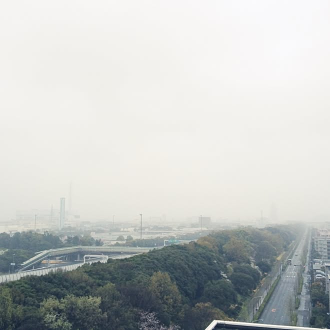 部屋全体/ベランダからの風景/ベランダからの眺め/ベランダからの景色/お部屋ではなくてごめんなさい...などのインテリア実例 - 2017-04-09 10:31:18