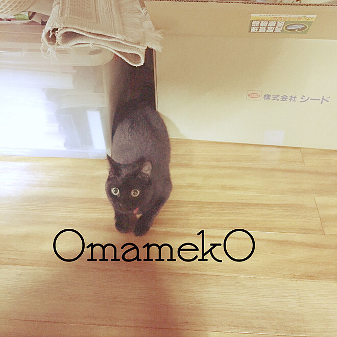OmamekOさんの部屋
