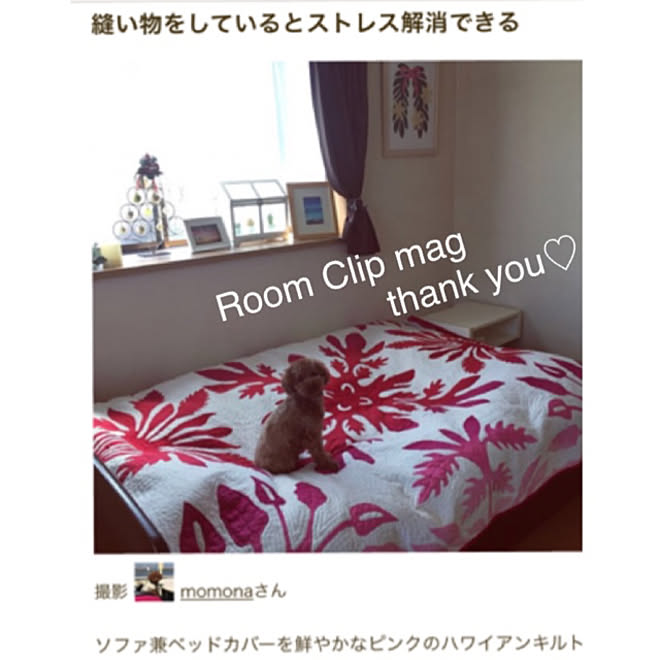 momonaさんの部屋