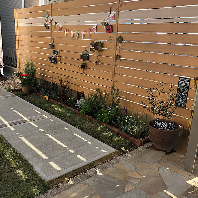 壁 天井 植物のある暮らし 目隠しフェンス 庭 オリーブ などのインテリア実例 18 11 15 08 36 45 Roomclip ルームクリップ