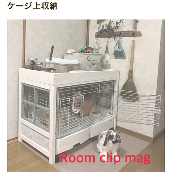 うさぎと暮らす/RoomClip mag/ダイソーのストレージボックス/セリアのボトル/ノアちゃん...などのインテリア実例 - 2019-05-08 22:32:32