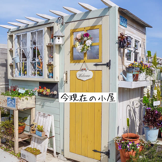 小屋/小屋作り/ベランダガーデニング/花のある暮らし/フォローありがとうございます♪...などのインテリア実例 - 2020-02-15 09:18:47