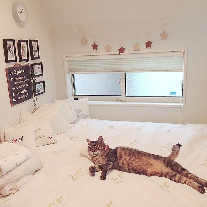 lovecatさんの部屋
