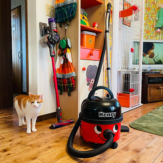ニュマティック社 HVR200 ヘンリー掃除機 ヘンリー君 ニュマティック社