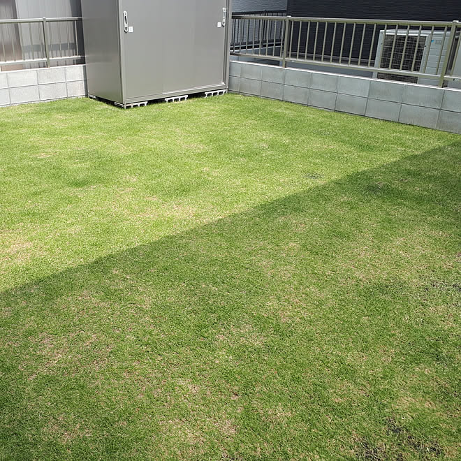 玄関 入り口 新築 芝生の庭 天然芝 芝生 などのインテリア実例 06 05 37 52 Roomclip ルームクリップ