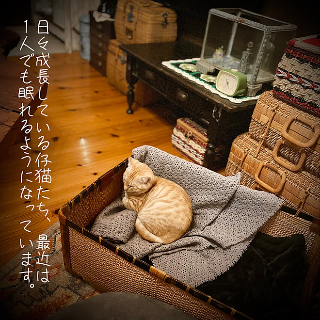 marusanさんの部屋