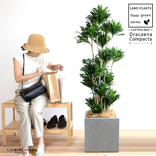 LANDPLANTSさんの部屋