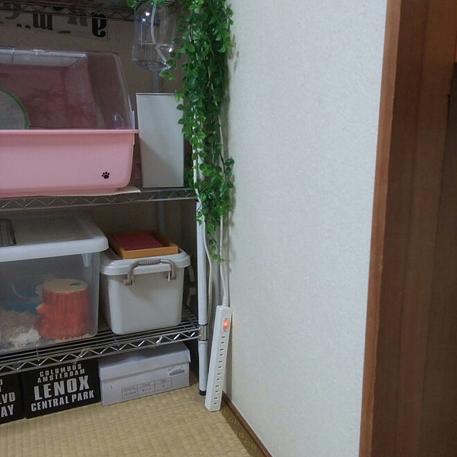 hanakusukuさんの部屋