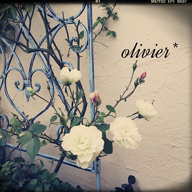 olivierさんの部屋