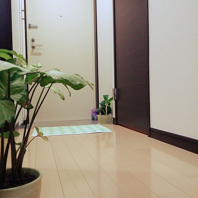 Hiroshiさんの部屋