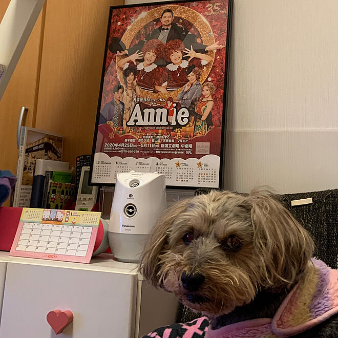Annieさんの部屋