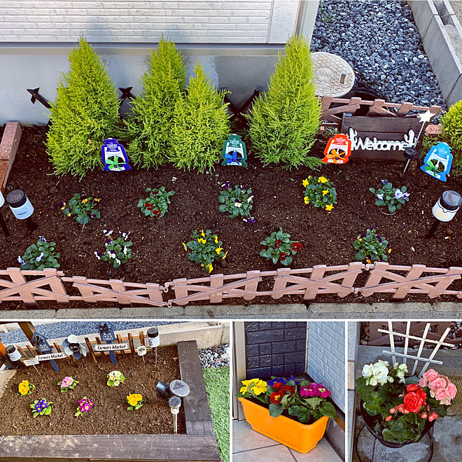 プランター 山新 コメリ 花壇 茨城県民 などのインテリア実例 01 13 14 32 47 Roomclip ルームクリップ