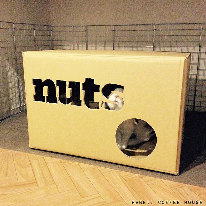 nutsさんの部屋