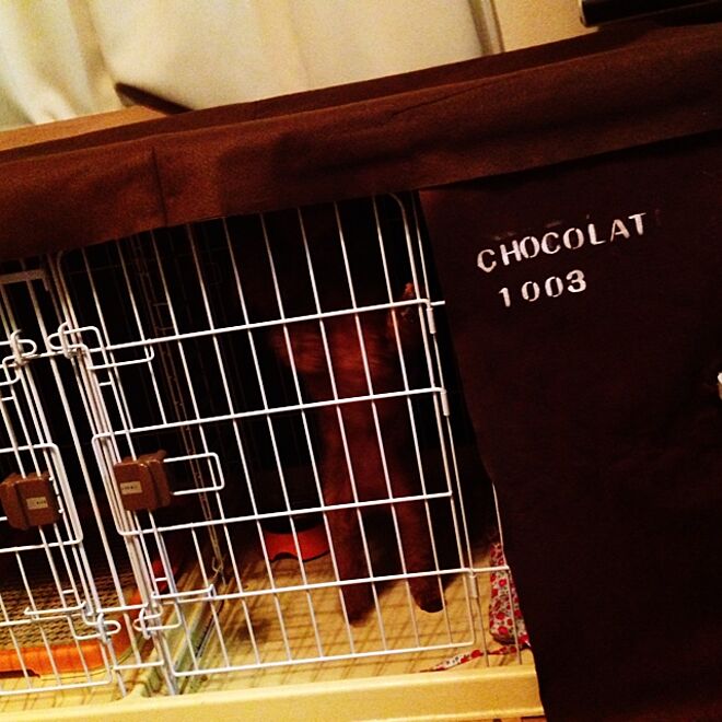 chocolatさんの部屋
