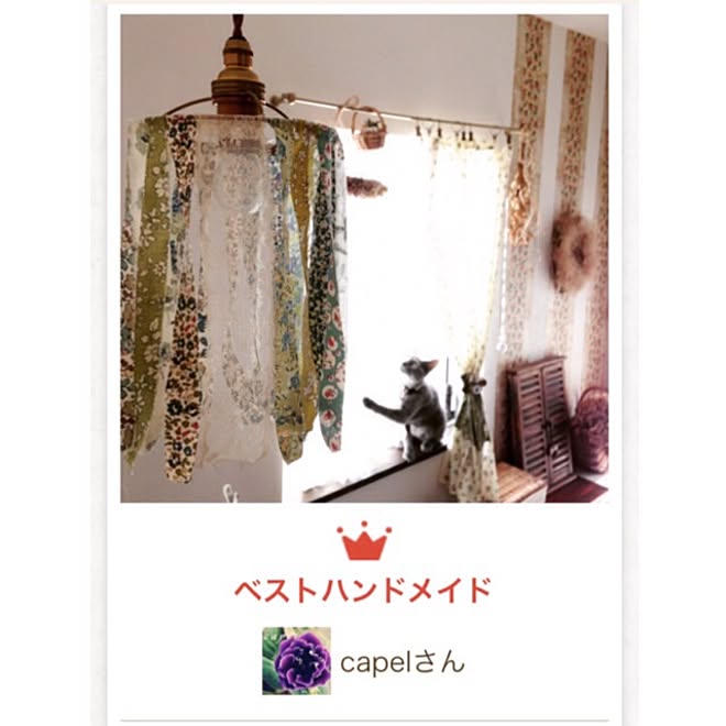 capelさんの部屋