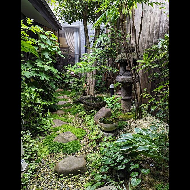 玄関/入り口/京都/京町家に住む/植物のある暮らし/植物と暮らす...などのインテリア実例 - 2023-05-31 11:05:15