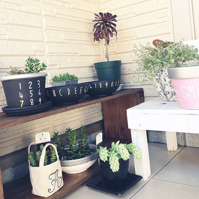 いらない器をリメイク 再利用 リメイク鉢 リメイク 多肉植物 などのインテリア実例 15 06 28 16 05 11 Roomclip ルームクリップ