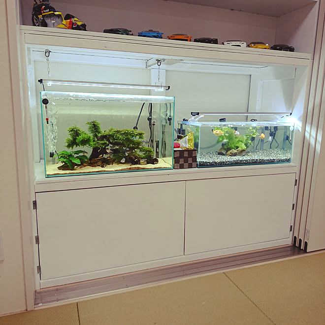 リビング クローゼット改 金魚水槽 水槽台 Diy 水槽のある部屋 などのインテリア実例 18 10 26 15 28 23 Roomclip ルームクリップ